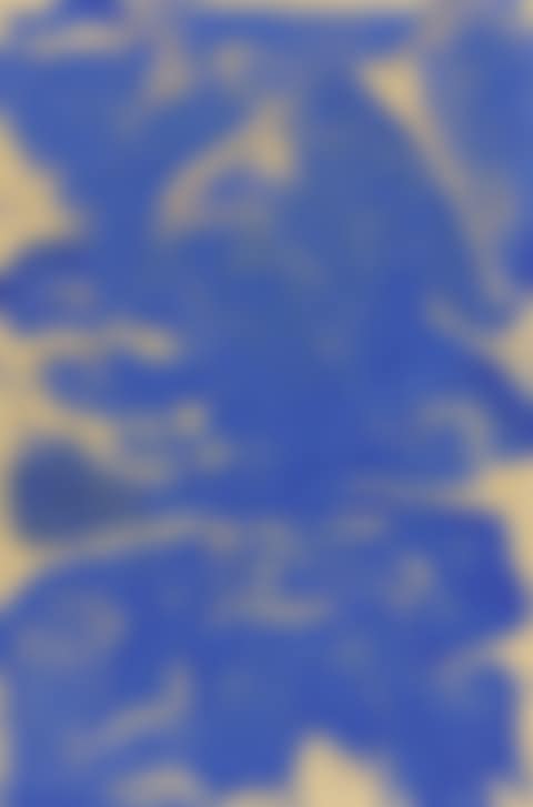 UNTITLED (preview)