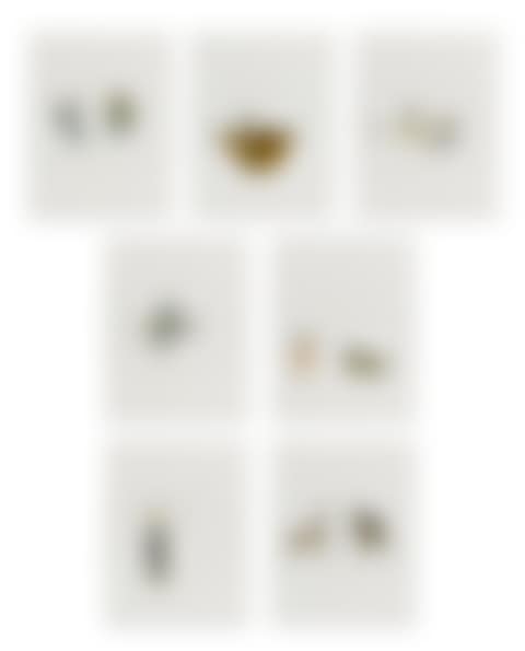 UNTITLED [SEVEN WORKS] (preview)