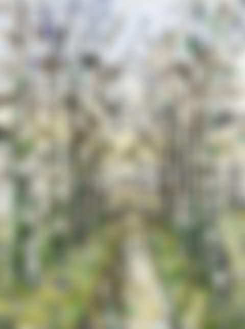 LUTSCHENBACH (preview)