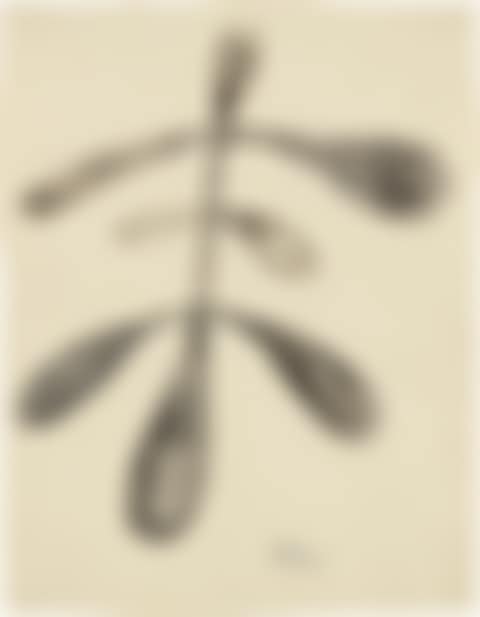 Untitled (preview)