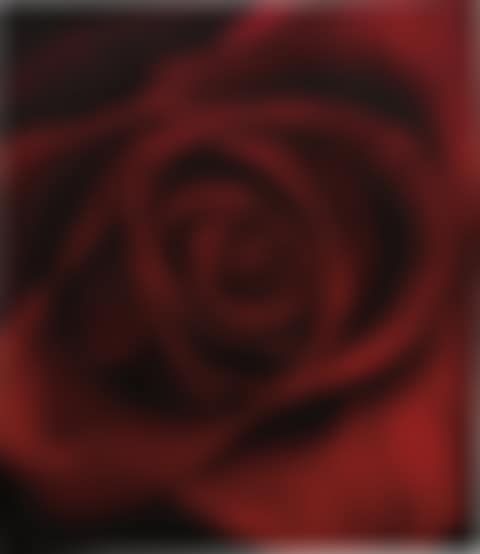 Untitled (Ophelia) (preview)