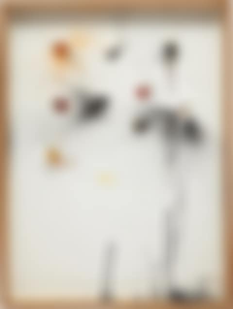 [Untitled] (preview)