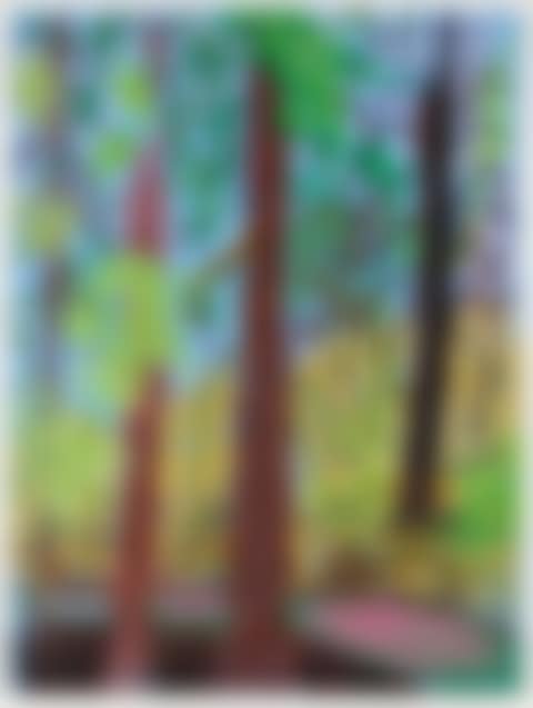 Untitled No. 6 from the Yosemite Suite (preview)