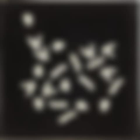 Untitled (preview)