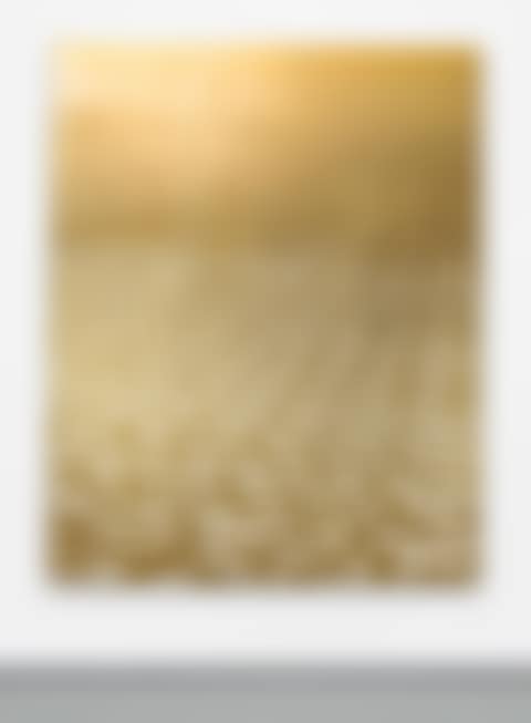 Untitled (Plan B) (preview)