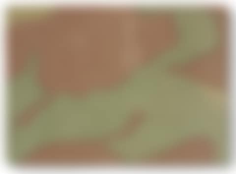Mimetico 1968 (preview)