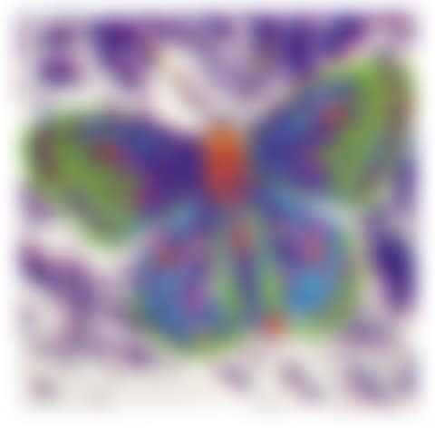 SAN FRANCISCO SILVERSPOT (preview)