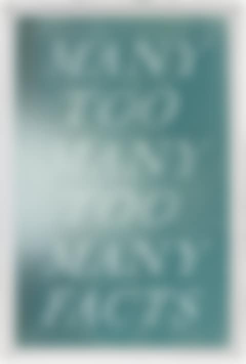 Many Too Many Too Many Facts (preview)