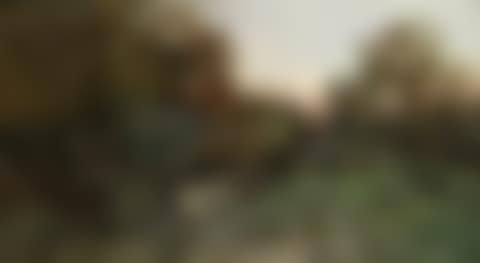 A Breton procession (preview)