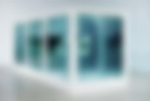 The Physical Impossibility of Death in the Mind of Someone Living (preview)