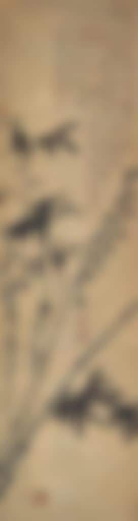 Bamboo (preview)