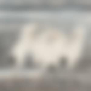EGRETS (preview)