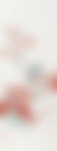 RED LEAVES AND BIRD (preview)