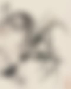 ORCHID (preview)