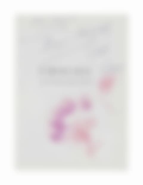 Le Bouquet (on the cover of "Chagall Lithographs" by J. Cain) (preview)