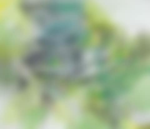 Midsummer Night Dew (preview)