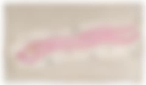 Pink Nude on Floral Sheet (preview)