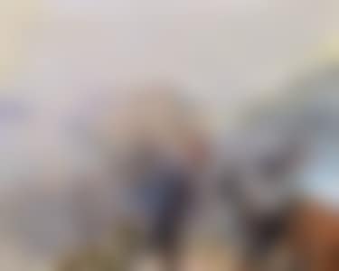 20.8.84 (preview)