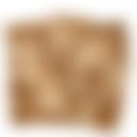 Studies after the Antique (preview)