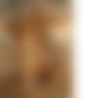 The Madeleine delivered from the seven demons (preview)