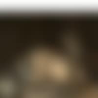 Two dogs keeping their trophy (preview)