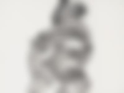 Tiger (preview)