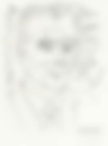 Portrait of Frederic Joliot-Curie (preview)
