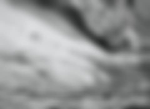 PENGUINS SOUTH SANDWICH ISLAND (preview)