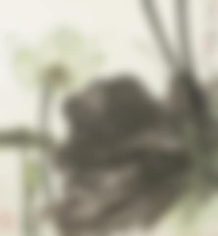 Green Lotus (preview)