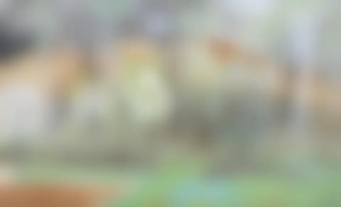 Landscape: Wood (preview)