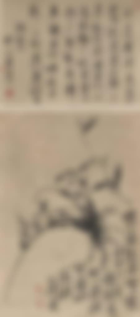 Orchid (preview)