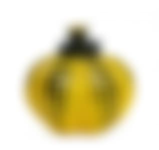 Pumpkin (preview)