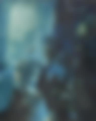 Presence Inconnue (preview)