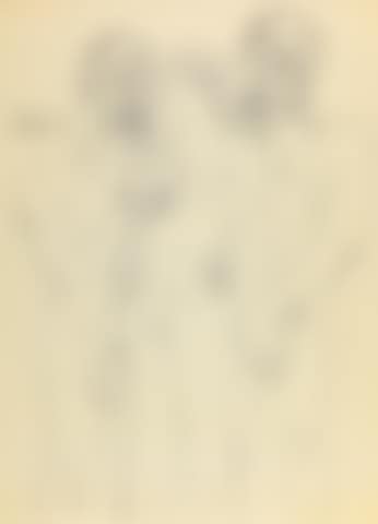 Untitled (Trio) (preview)