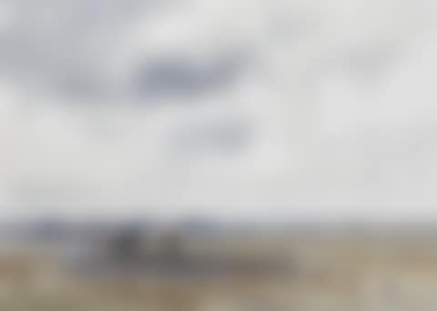 Cattle on the Marshes, Norfolk' (preview)