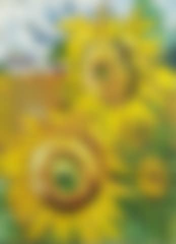 Suzerain Sunflowers, 1960 (preview)