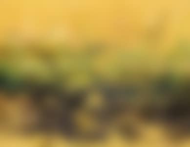 Dusk of Summer (preview)