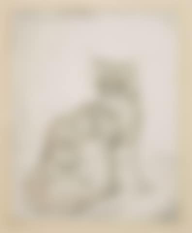 Staring Cat, from Les Chats unframed (preview)