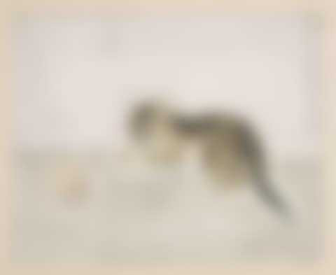 Cat with a Ball, from Les Chats unframed (preview)