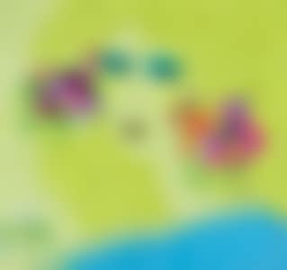 Woman With Flowers (preview)