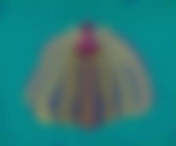 Pumpkin (preview)
