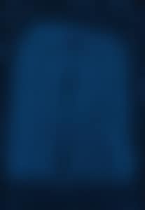 Blue Pumpkin T.W.P. (preview)