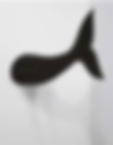 Coda di delfino (Tail of a Dolphin) (preview)