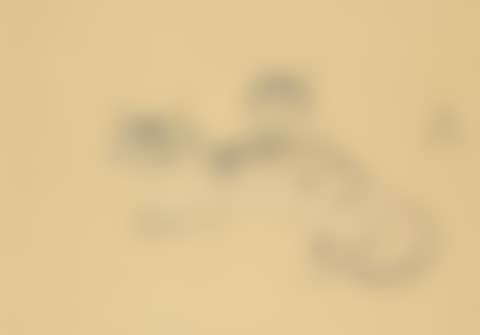 Chatte et chaton (preview)