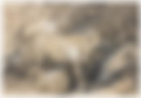 STUDY OF A COW AND SHEEP (preview)