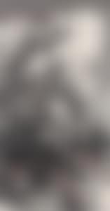 Pine Trees in the Mountains (preview)