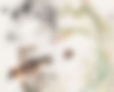 FLOWERS (preview)