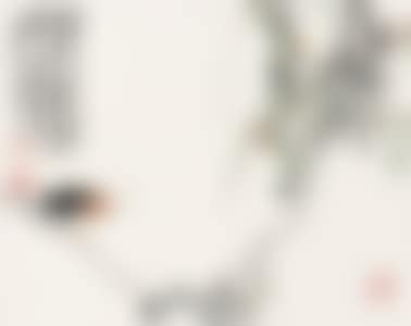 WILLOW AND CICADAS (preview)