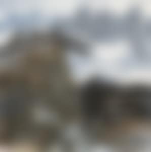 PINE TREE (preview)