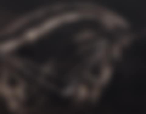 STUDY OF STALLION'S ARC (preview)